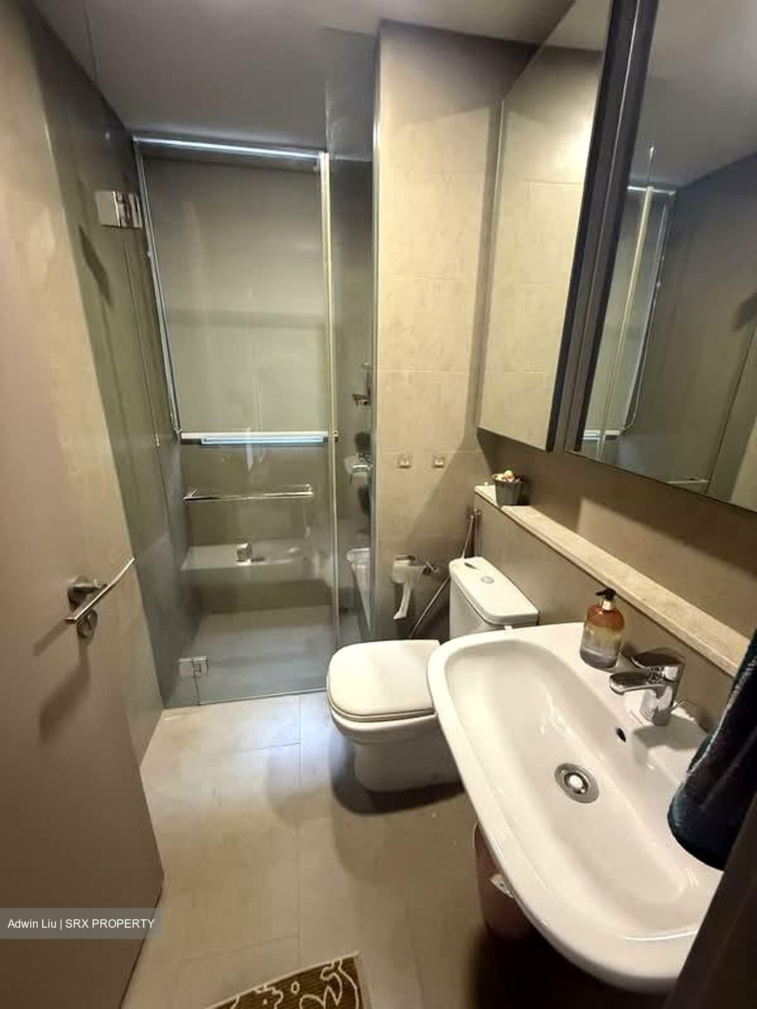 Riversails (D19), Condominium #556217581